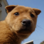 github