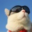 github