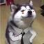 github
