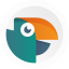 github